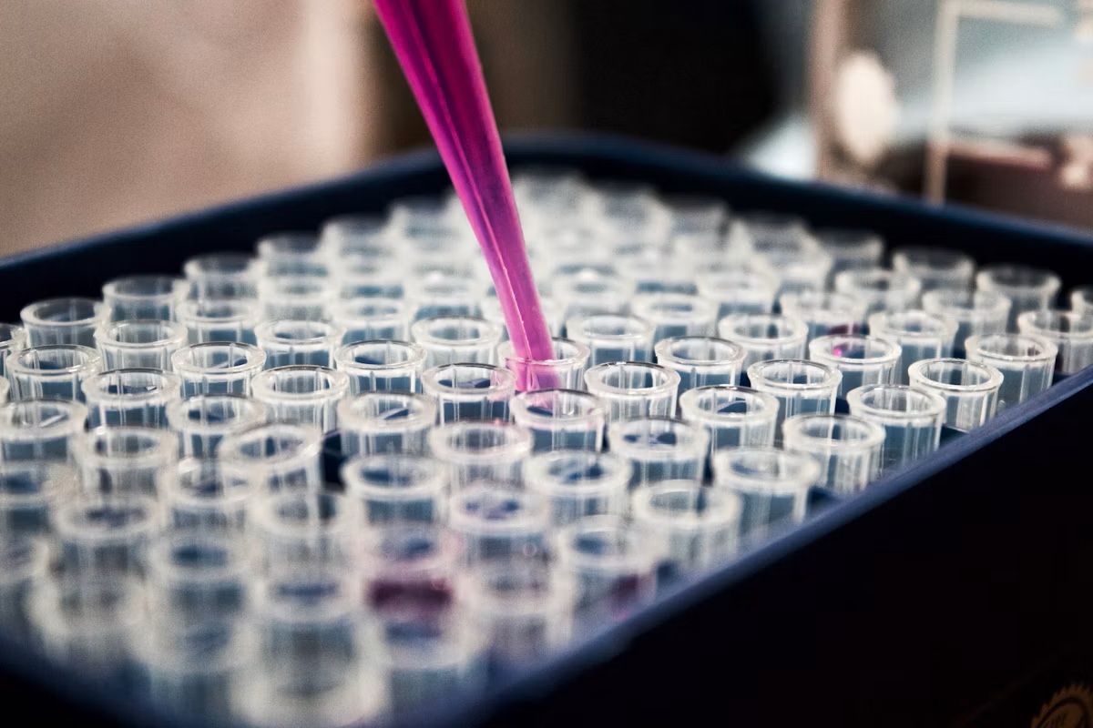 How Hyderabad Supports Advanced Nutraceutical Product Development