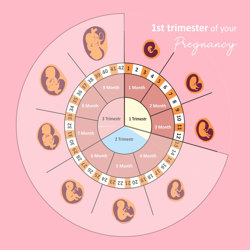 Pregnasyll-1
