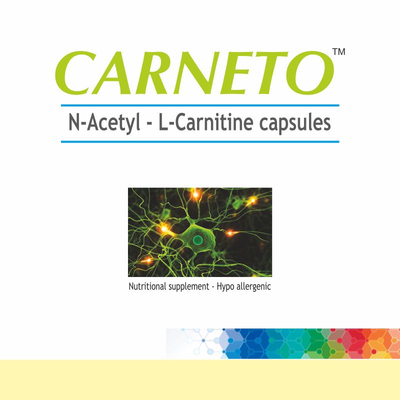 Carneto